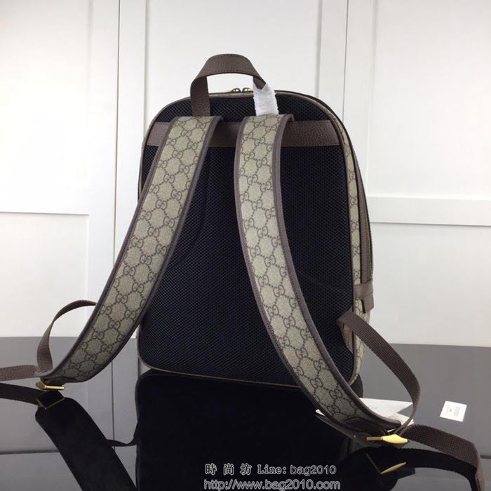 GUCCI古馳 新款 專櫃品質 頂級原單 實物實拍 547967啡色 百搭款雙肩包HY1319